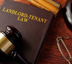 Landlord-Tenant Disputes